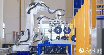 自主研发打破国外技术封锁 长飞智能制造新模式应用项目通过验收